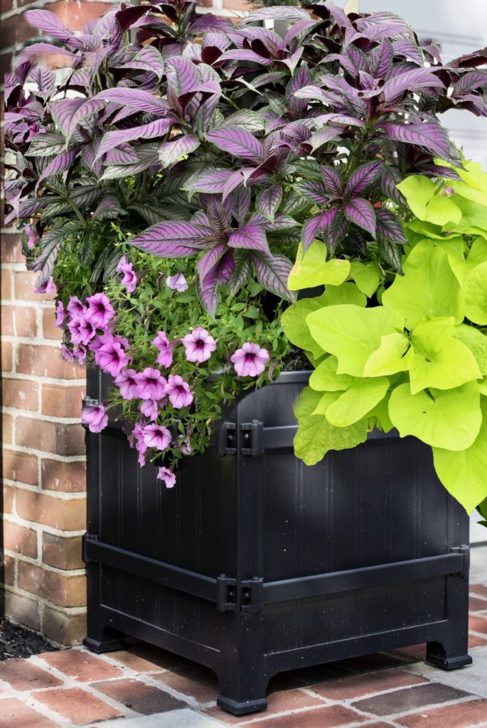Plantscape in planter available through the LWRC